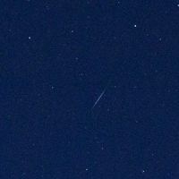 The Draconids