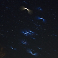 Starbirds Flying in Orion Formation